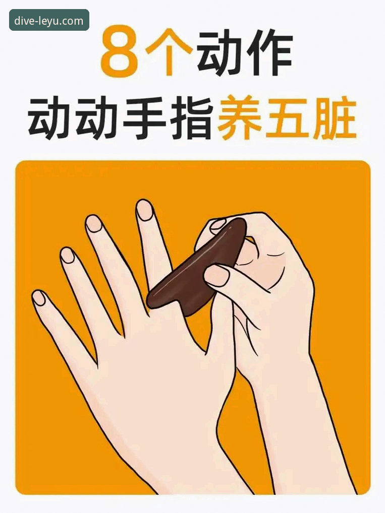 乐鱼体育怎么玩 乐鱼体育怎么玩?3步上手指南与5大实用技巧让你快速精通